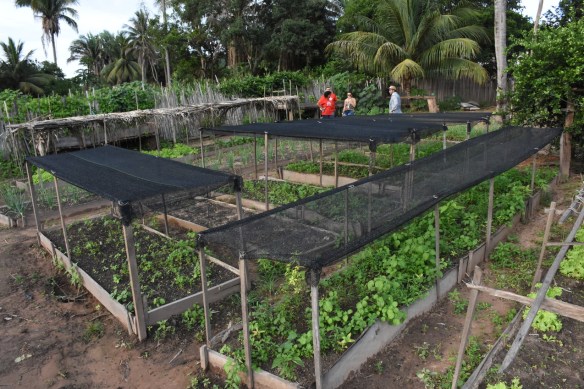 13fe25ee-c90a-4717-b088-a4d9c5202306